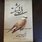 بال های شکسته-جبران خلیل جبران