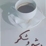 جلد کتاب بی شیر و شکر اثر حمید امجد