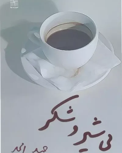 جلد کتاب بی شیر و شکر اثر حمید امجد