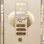 شمس پرنده-شمس الدین محمد تبریزی