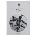 زیر باران-ارشیا گرامی زادگان