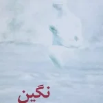 نگین-حمید امجد