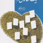 یک عاشقانه آرام -نادر ابراهیمی