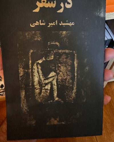 جلد کتاب در سفر اثر مهشید امیرشاهی
