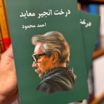 درخت انجیر معابد (۲جلدی)-احمد محمود