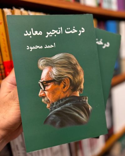 جلد کتاب درخت انجیر معابد (۲جلدی) اثر احمد محمود
