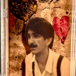 دو مرغابی در مه-حسین پناهی