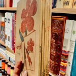 فارسی دوره ابتدایی