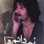 نمی دانم ها-حسین پناهی