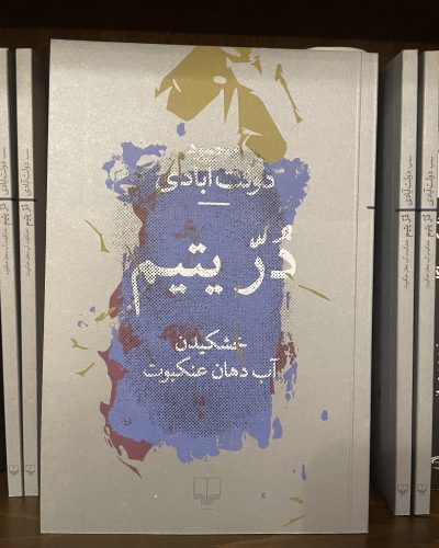جلد کتاب در یتیم: خشکیدن آب دهان عنکبوت اثر محمود دولت آبادی