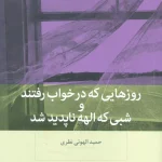 جلد کتاب کتاب روزهایی که در خواب رفتند و شبی که الهه ناپدید شد اثر حمید الهوئی نظری