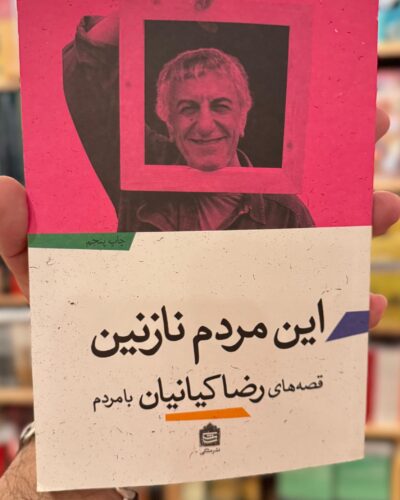 جلد کتاب این مردم نازنین اثر رضا کیانیان