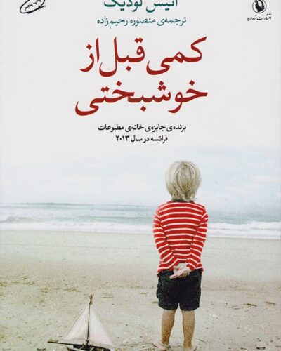 جلد کتاب کمی قبل از خوشبختی اثر انیس لودویگ در کتابفروشی الفبا