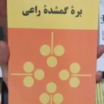 بره گمشده راعی-هوشنگ گلشیری