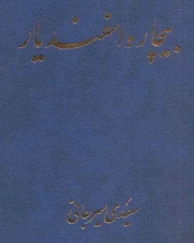 جلد کتاب بیچاره اسفندیار اثر علی اکبر سعیدی سیرجانی