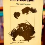 جلد کتاب اکنون میان دو هیچ اثر فردریش نیچه با ترجمه علی عبداللهی نشر جامی