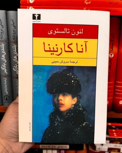 خرید آنا کارنینا مجموعه دو جلدی لئون تالستوی ترجمه سروش حبیبی نشر نیلوفر