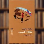 جلد کتاب بالکان اکسپرس اثر اسلاونکا دراکولیچ ترجمه سونا انزابی‌نژاد