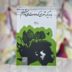 جلد کتاب بار دیگر شهری که دوست می‌داشتم اثر نادر ابراهیمی