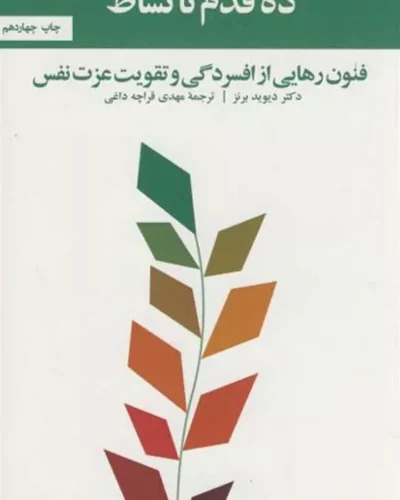 جلد کتاب ده قدم تا نشاط نوشته دیوید دی. برنز با ترجمه مهدی قراچه‌داغی