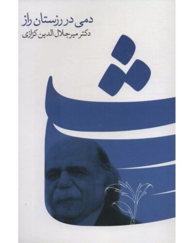 جلد کتاب دمی در رزستان راز اثر میرجلال‌الدین کزازی