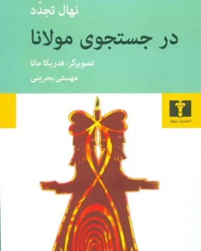 جلد کتاب در جست‌وجوی مولانا اثر نهال تجدد ترجمه مهستی بحرینی