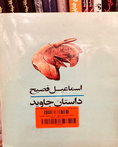 تصویر جلد آبی قدیمی کتاب داستان جاوید اثر اسماعیل فصیح، نشر مولا