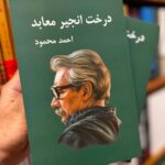 جلد دوره دو جلدی کتاب درخت انجیر معابد اثر احمد محمود