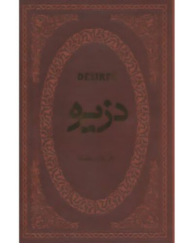خرید کتاب دزیره اثر آن ماری سلینکو ترجمه ایرج پزشکزاد انتشارات فردوس