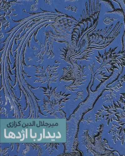 جلد کتاب دیدار با اژدها سفرنامه چین اثر میرجلال‌الدین کزازی