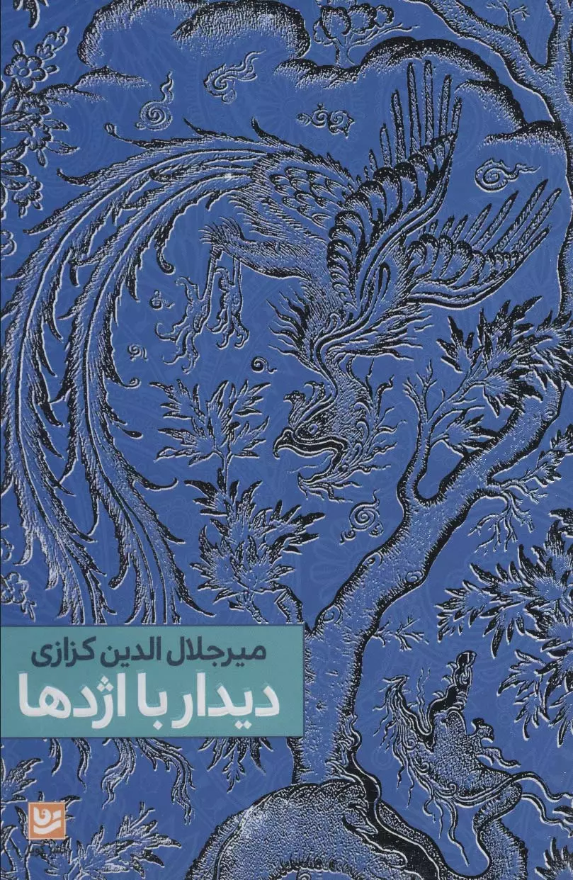دیدار با اژدها | میرجلالالدین کزازی جلد کتاب دیدار با اژدها سفرنامه چین اثر میرجلالالدین کزازی