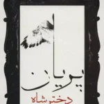 جلد کتاب دختر شاه پریان اثر ر. اعتمادی