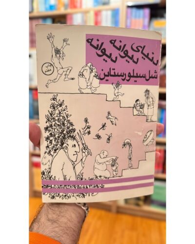 کتاب دنیای دیوانه، دیوانه (Different Dances) اثر شل سیلوراستاین – نشر کتاب پنجره