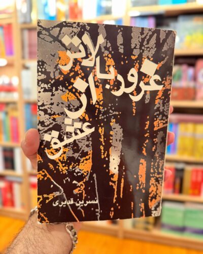 جلد کتاب غرور بالاتر از عشق نوشته نسرین قدیری نشر علمی