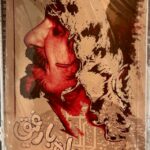 جلد کتاب راه با رفیق (همراه با سی‌دی) اثر حسین پناهی
