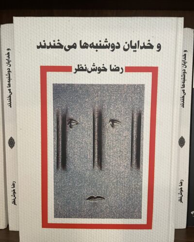 جلد کتاب و خدایان دوشنبه‌ها می‌خندند اثر رضا خوش‌نظر، نشر مرغ آمین
